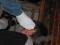 Bild-073.jpg_t60.jpg